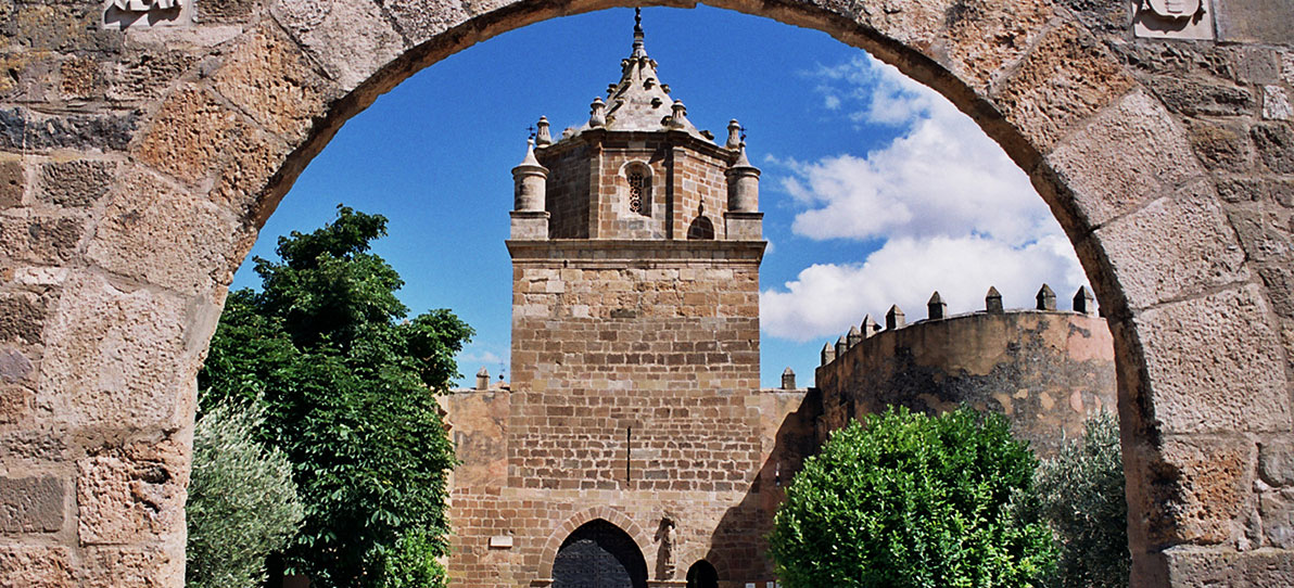 DMC Aragón (Spanien)