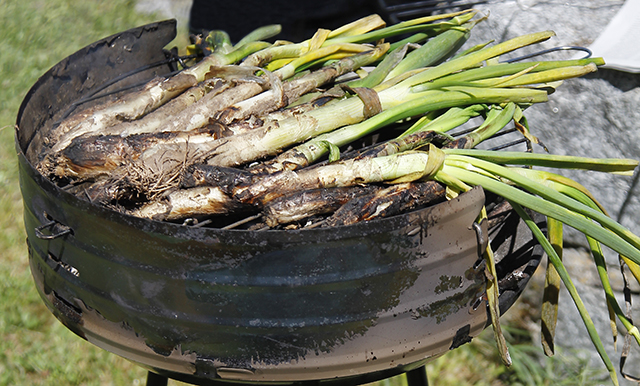 Calçotadas in Catalonia: Warm up with a winter tradition