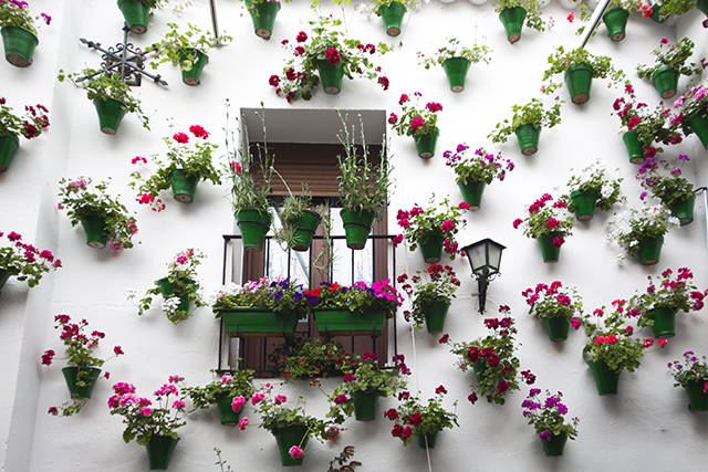 Cordoba: the hidden beauty