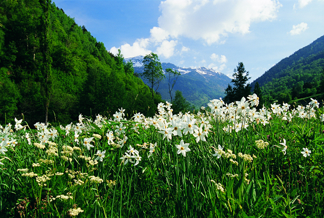 Andorra: Flucht in die Natur