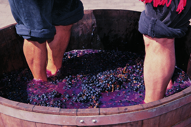 Eine Feier der Weine der Rioja und ihrer Tradition