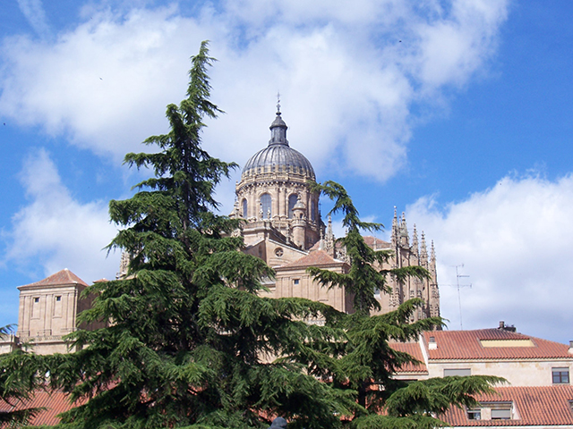 Salamanca- Catedral