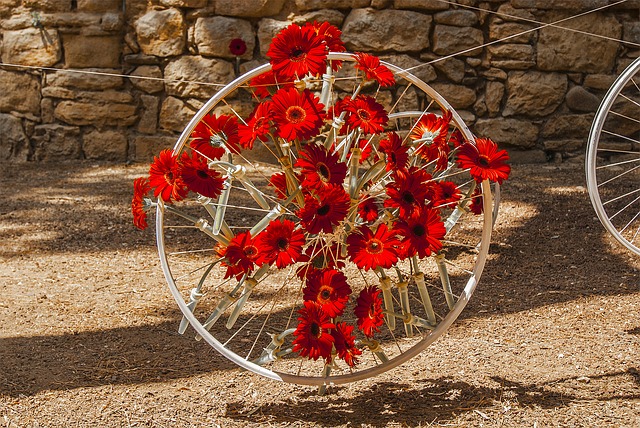 Girona: Temps de Flors