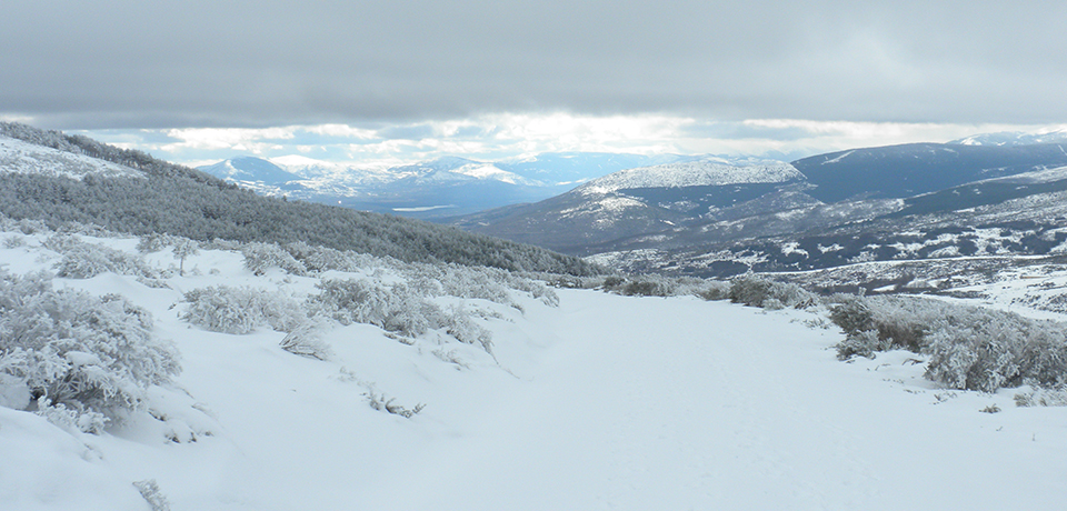 Winter in Spanien: Ab in den Schnee